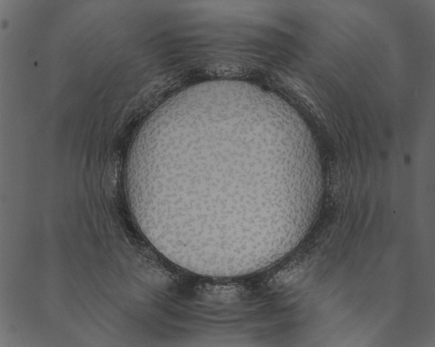 X0000089670645200707121225