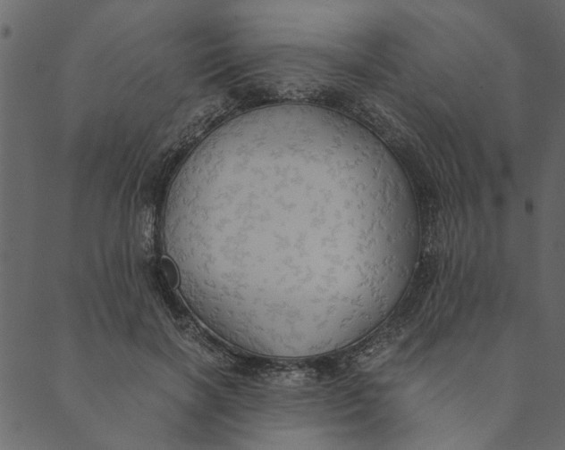 X0000089670646200707121225