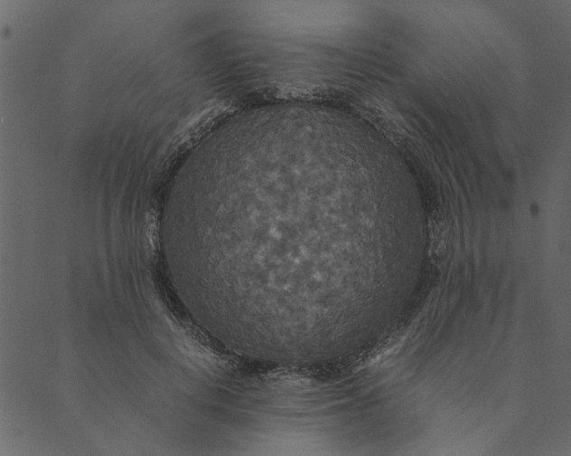 X0000089670648200707121225