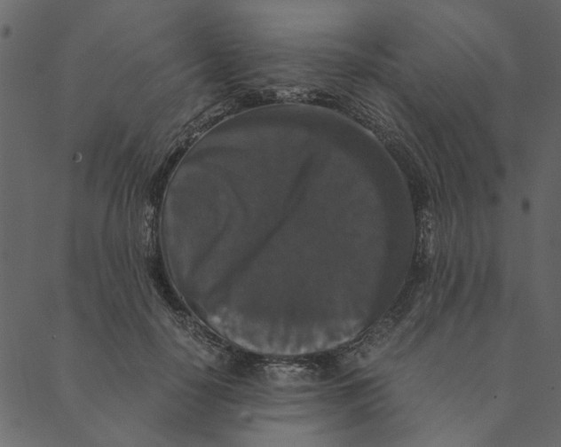 X0000089670650200707121225