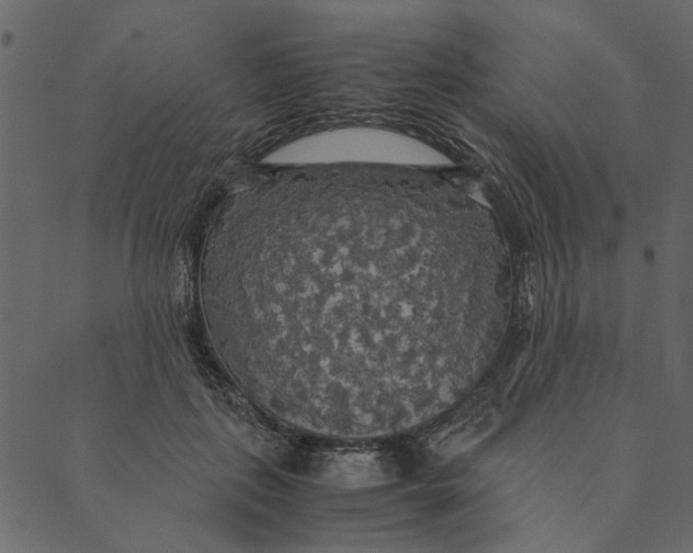 X0000089670651200707121225