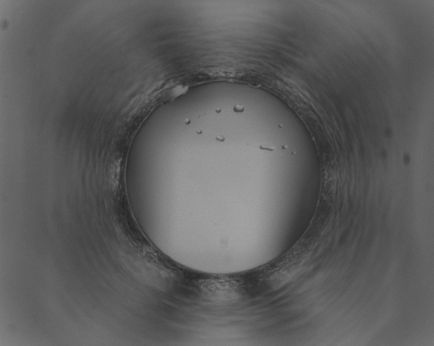 X0000089670652200707121225