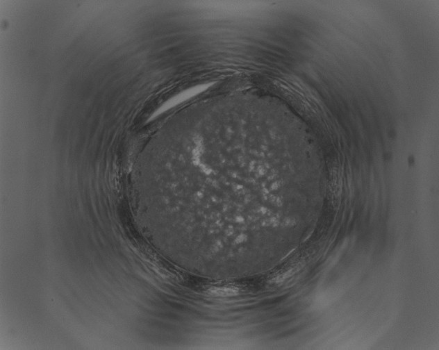 X0000089670653200707121225