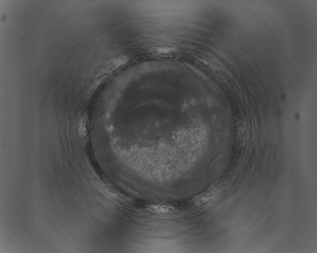 X0000089670654200707121225