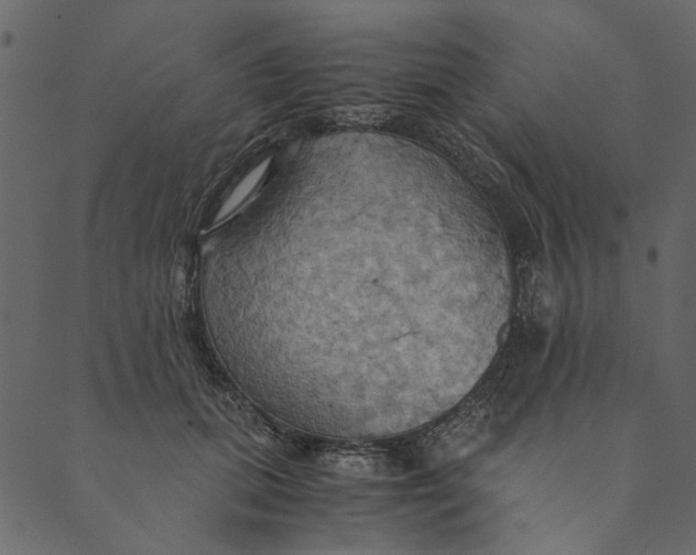 X0000089670655200707121225