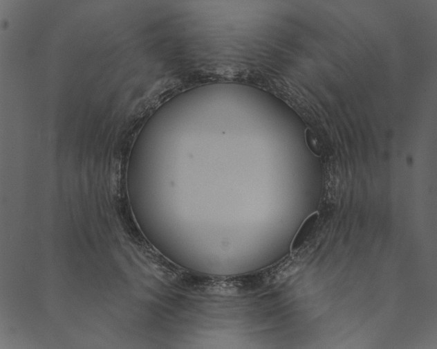 X0000089670656200707121225