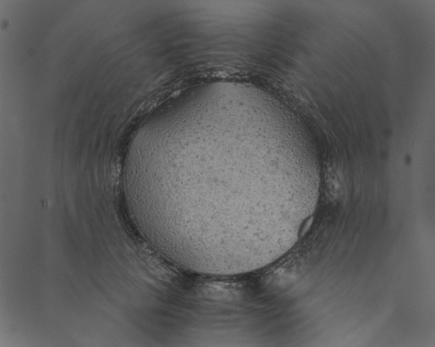 X0000089670657200707121225