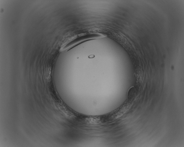 X0000089670660200707121225