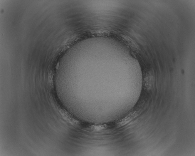 X0000089670662200707121225