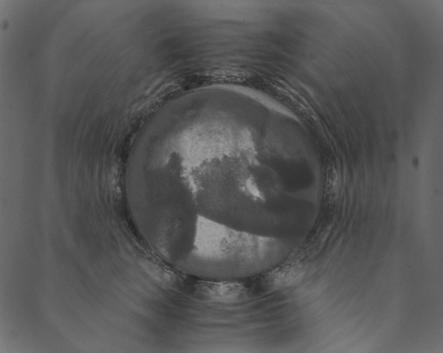 X0000089670663200707121225