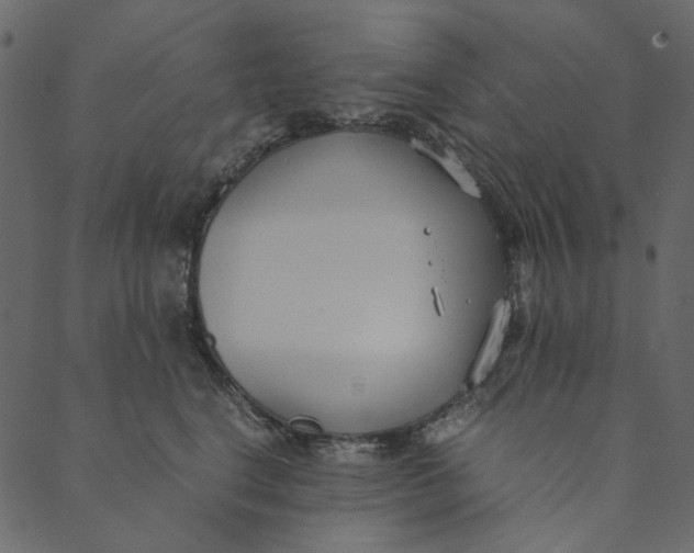 X0000089670664200707121225