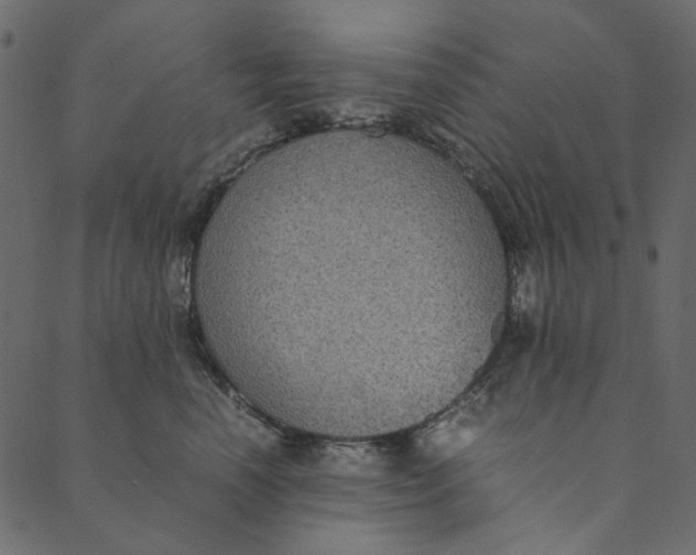 X0000089670666200707121225