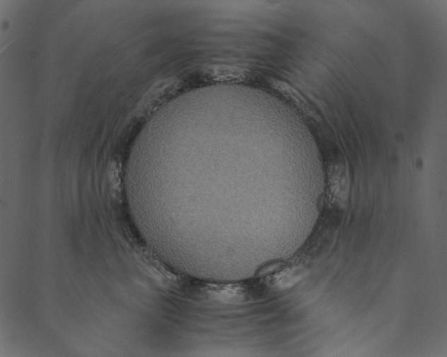 X0000089670667200707121225