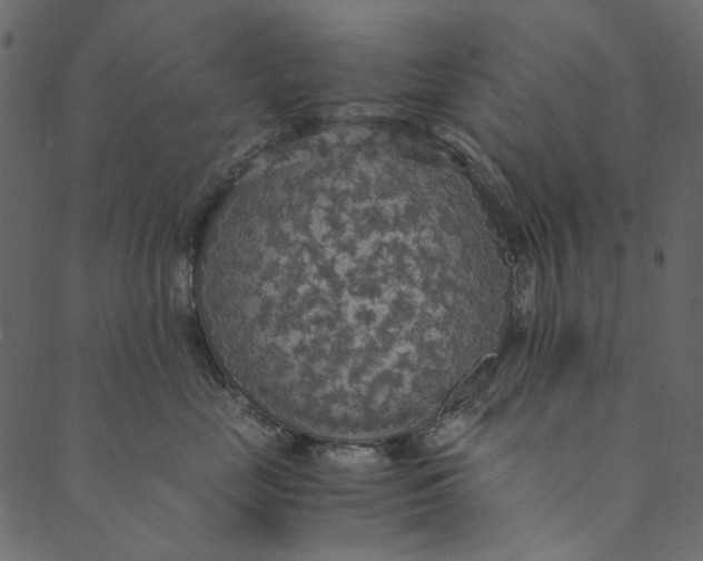 X0000089670669200707121225