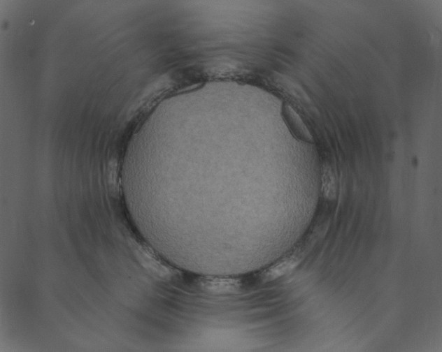 X0000089670670200707121225