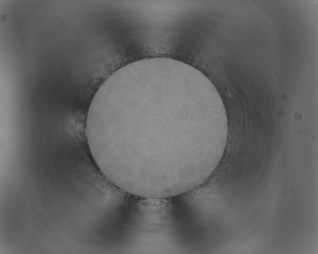 X0000089670672200707121225