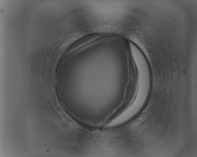 X0000089670673200707121224