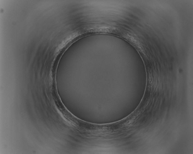 X0000089670674200707121224