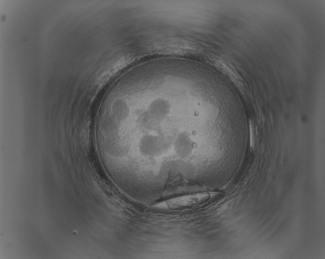 X0000089670675200707121224