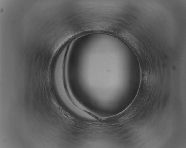 X0000089670676200707121224