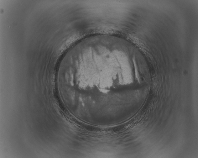 X0000089670679200707121224