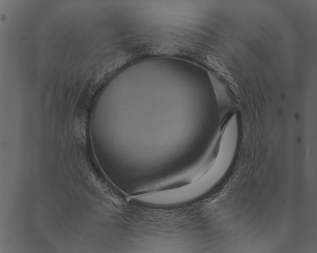 X0000089670681200707121224