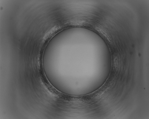 X0000089670682200707121224