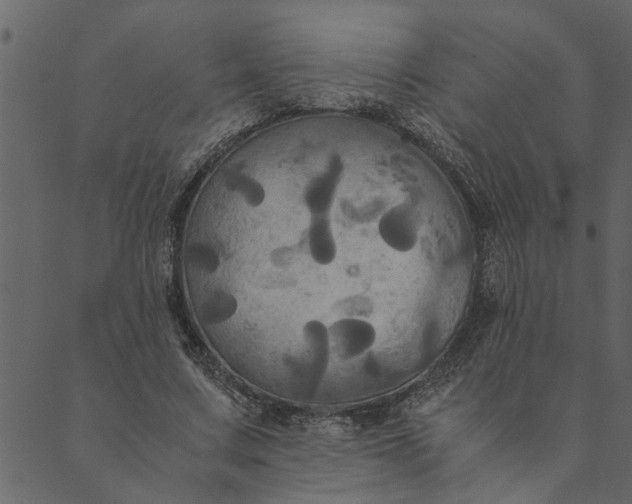 X0000089670683200707121224