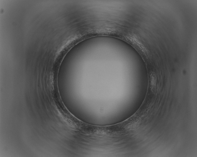 X0000089670684200707121224