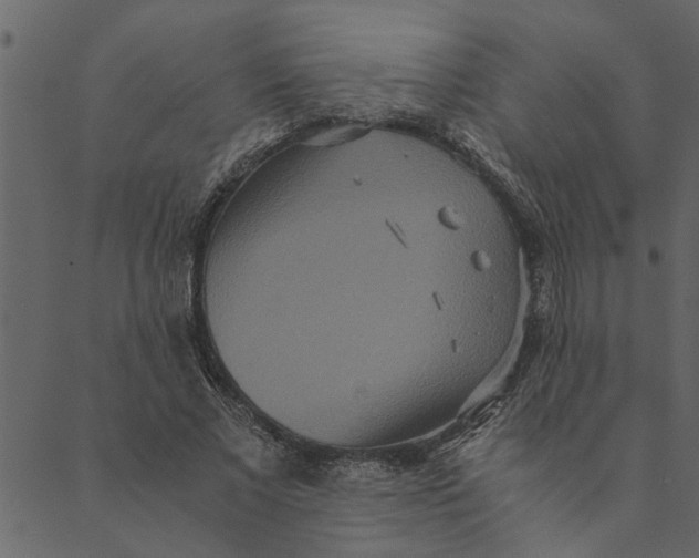 X0000089670685200707121224