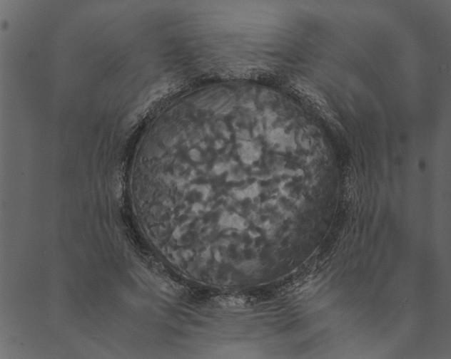 X0000089670687200707121224