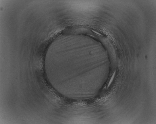 X0000089670689200707121224