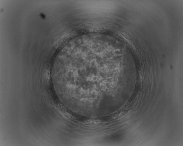 X0000089670691200707121224