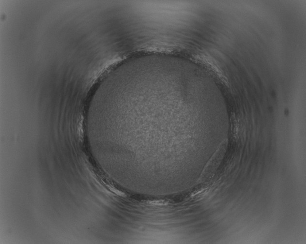 X0000089670692200707121224