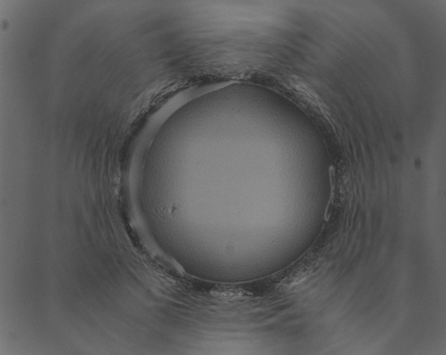 X0000089670693200707121224