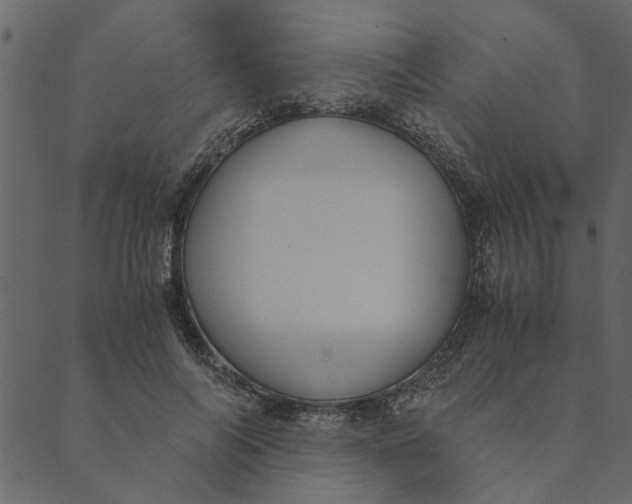 X0000089670694200707121224