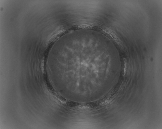 X0000089670696200707121224