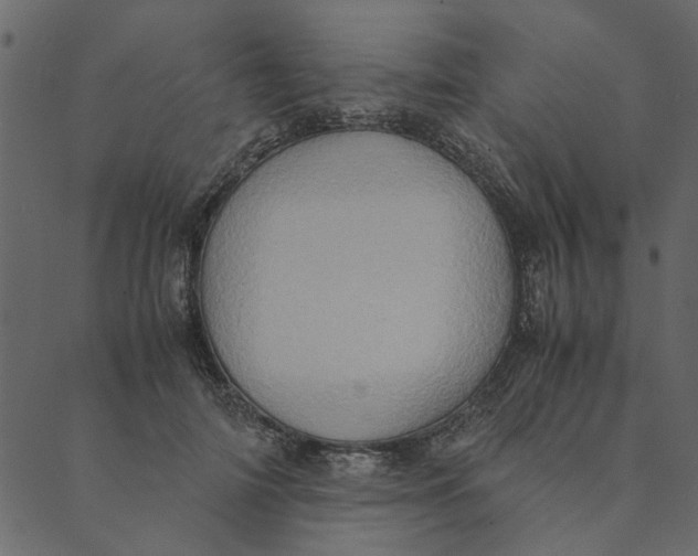 X0000089670698200707121224