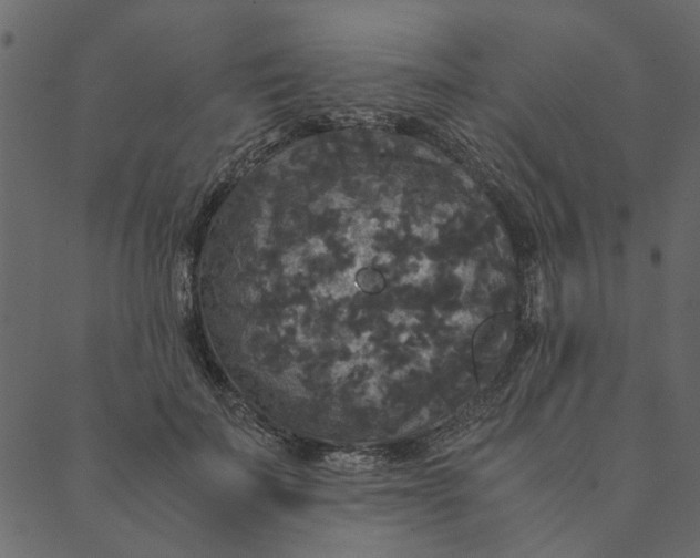 X0000089670699200707121224