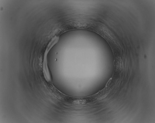 X0000089670700200707121224