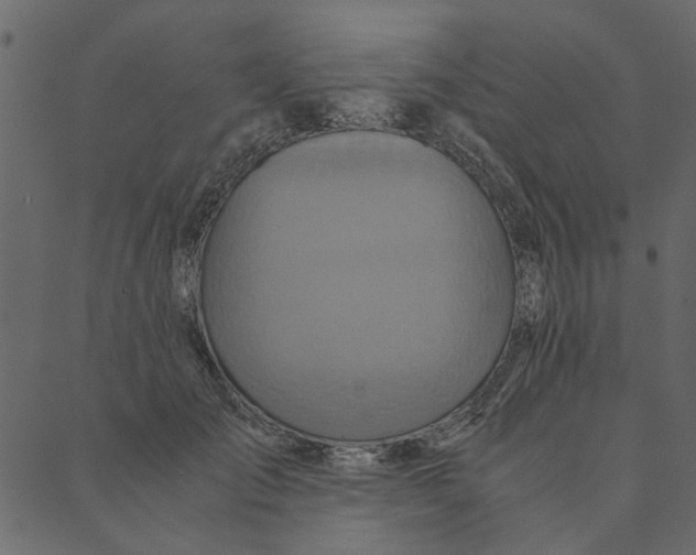 X0000089670701200707121224