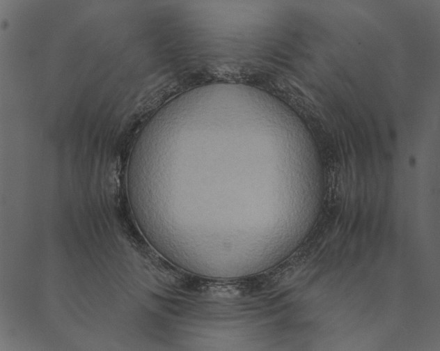 X0000089670702200707121224