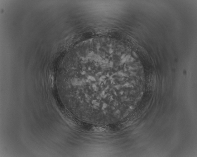 X0000089670703200707121224