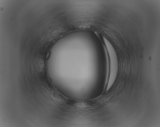 X0000089670704200707121224