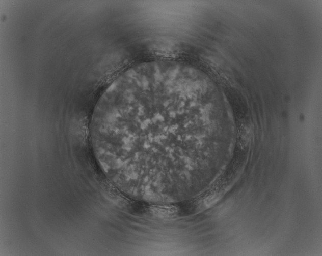 X0000089670707200707121224