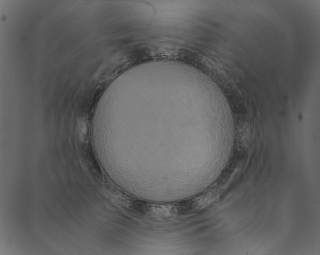 X0000089670709200707121224