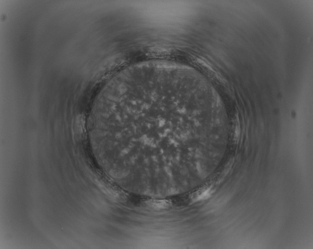 X0000089670711200707121224