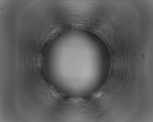 X0000089670712200707121224