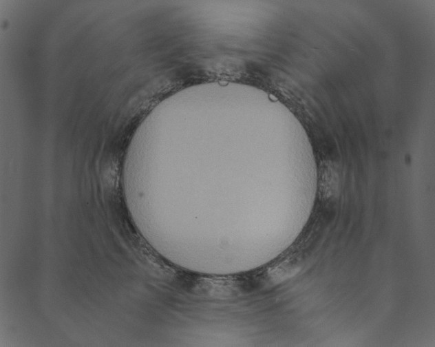 X0000089670713200707121224