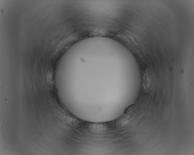 X0000089670714200707121224